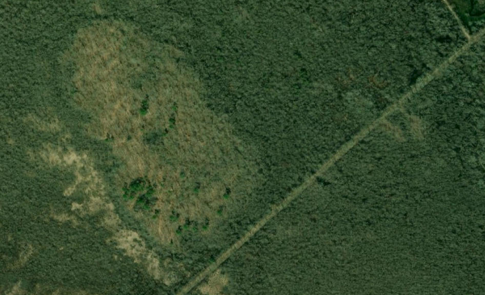 AERIAL