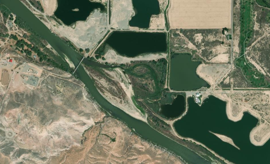 AERIAL