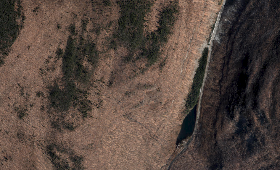 AERIAL