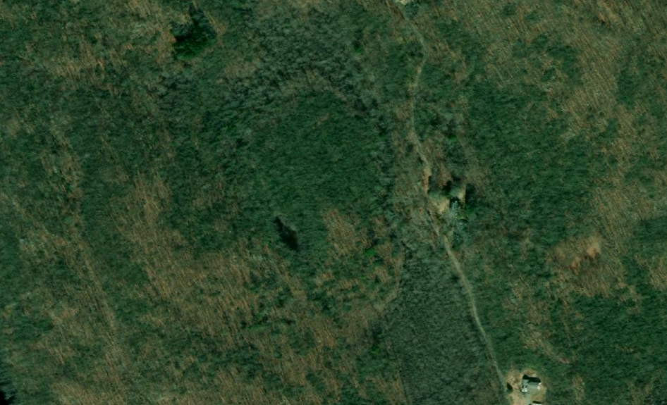 AERIAL